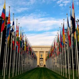 Les Nations Unies autour de quel idéal?