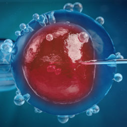 La France in vitro ou les états généraux de la bioéthique