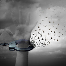 Pardonne-nous nos offenses…