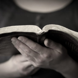 Littéralisme, Bible, fondamentalisme christianisme