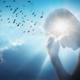 Le spirituel et le matériel