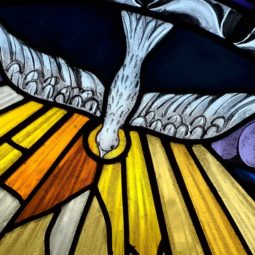 Proximité, Jésus-Christ, Évangile, communion, Kuyper